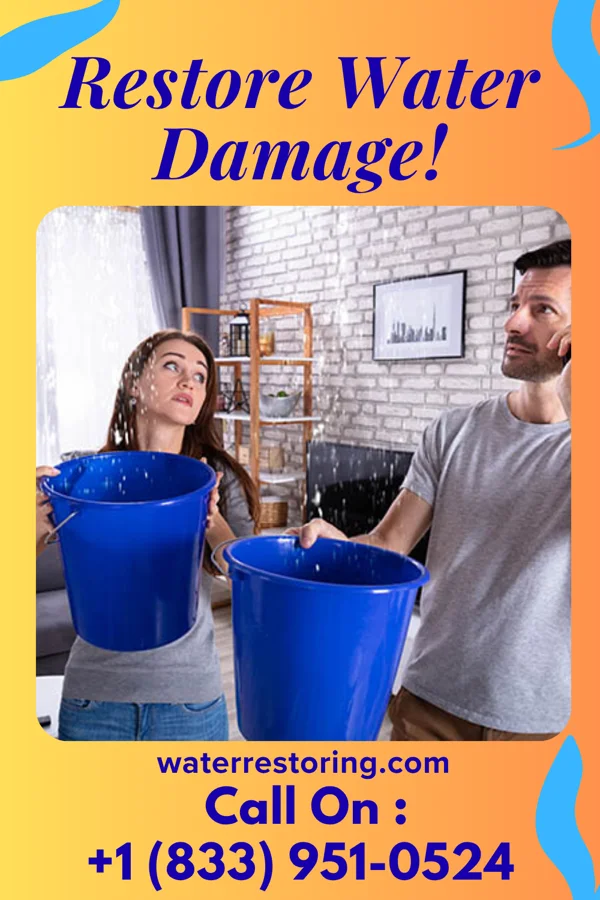 water restoration Victory Extraction Masters South Hempstead