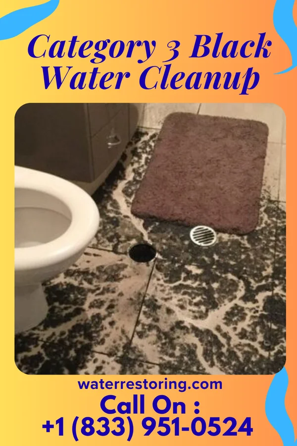Category 3 Black Water Cleanup in South Hempstead, NY