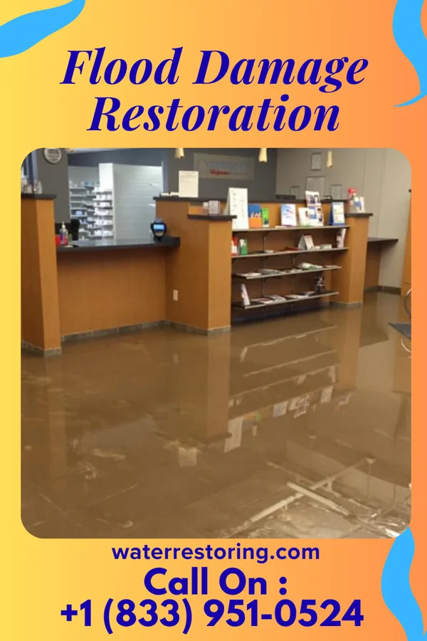 Flood Damage Restoration in South Hempstead, NY