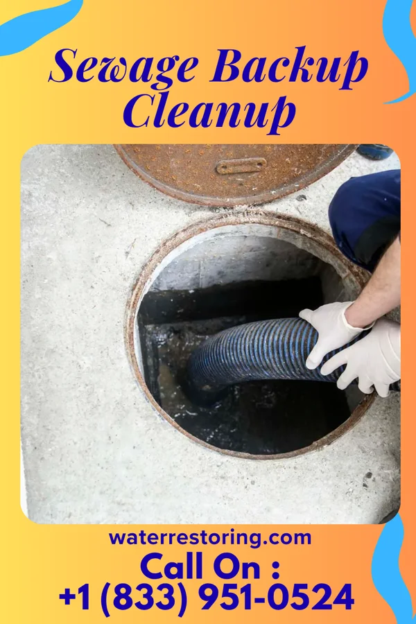 Sewage Backup Cleanup in South Hempstead, NY