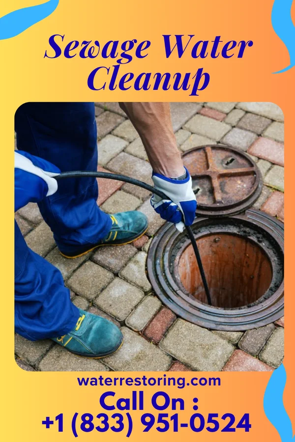 Sewage Water Cleanup in South Hempstead, NY