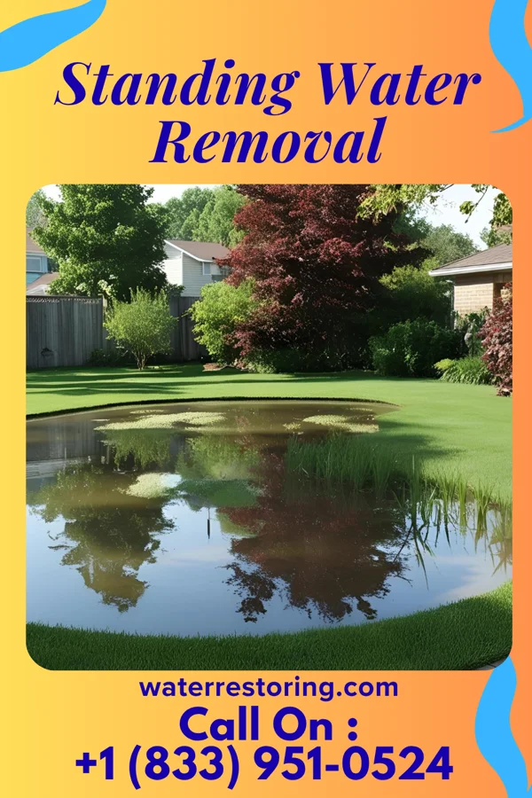 Standing Water Removal in South Hempstead, NY